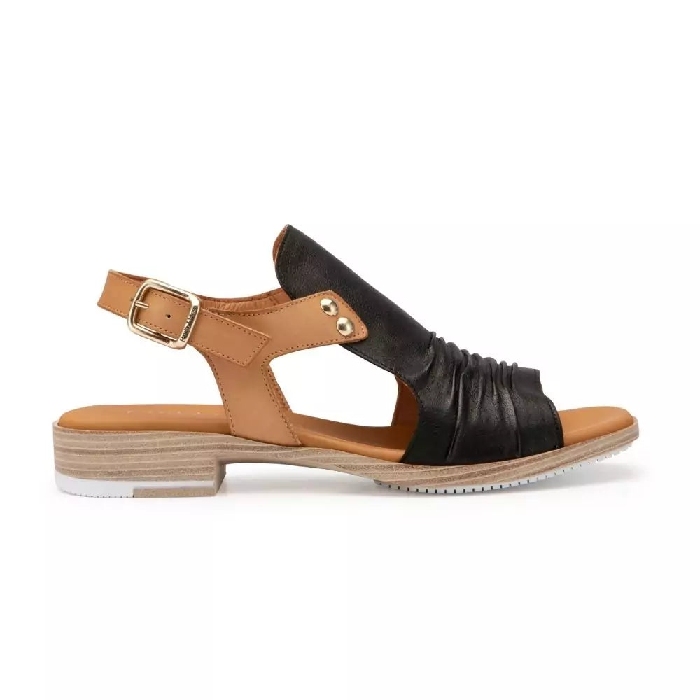 Paula Urban 9-17 Black